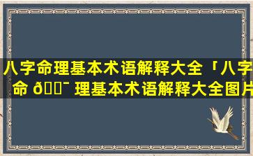 八字命理基本术语解释大全「八字命 🐯 理基本术语解释大全图片 🐕 」